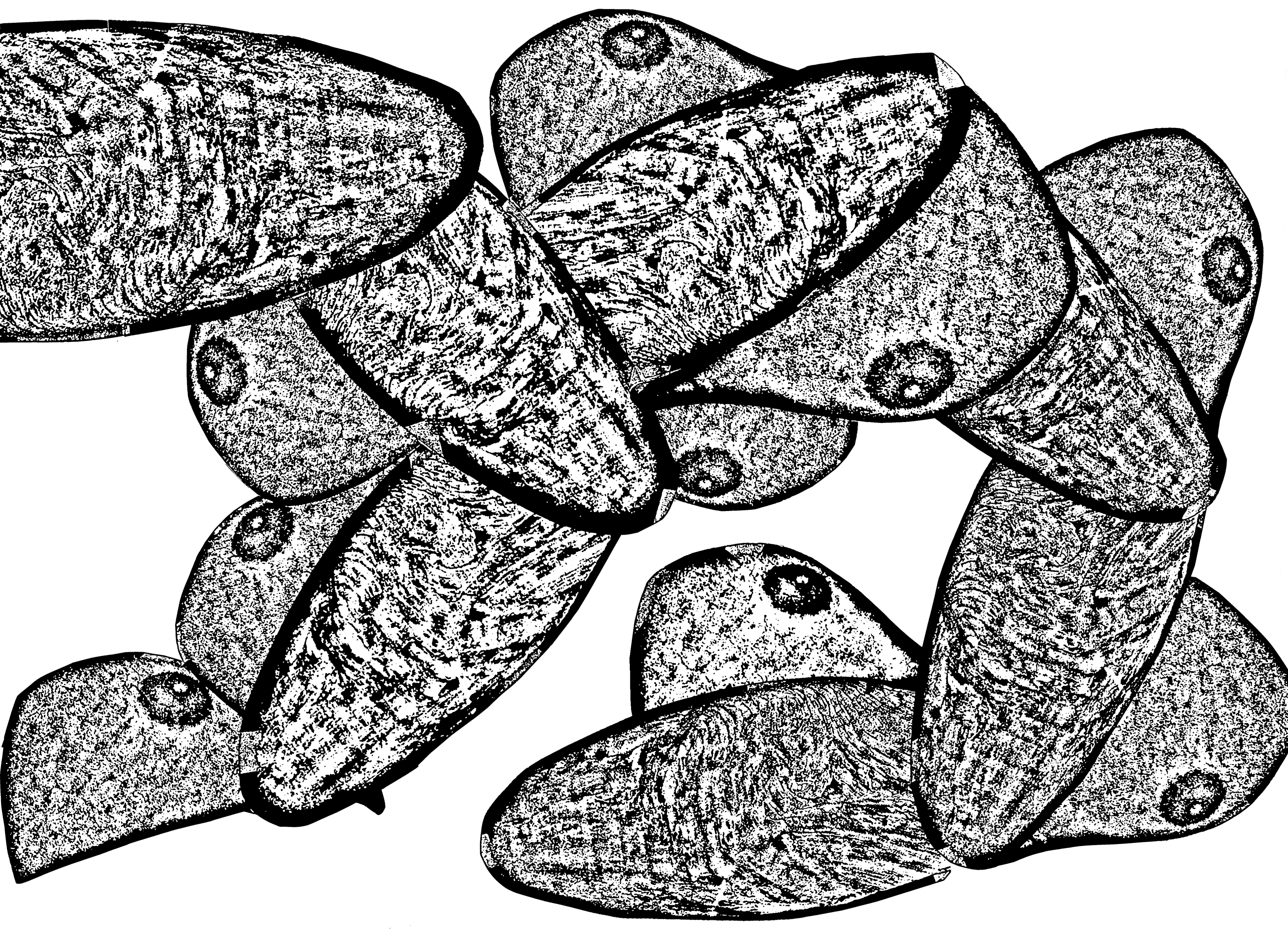 Ilustraciones en blanco y negro de formas orgánicas